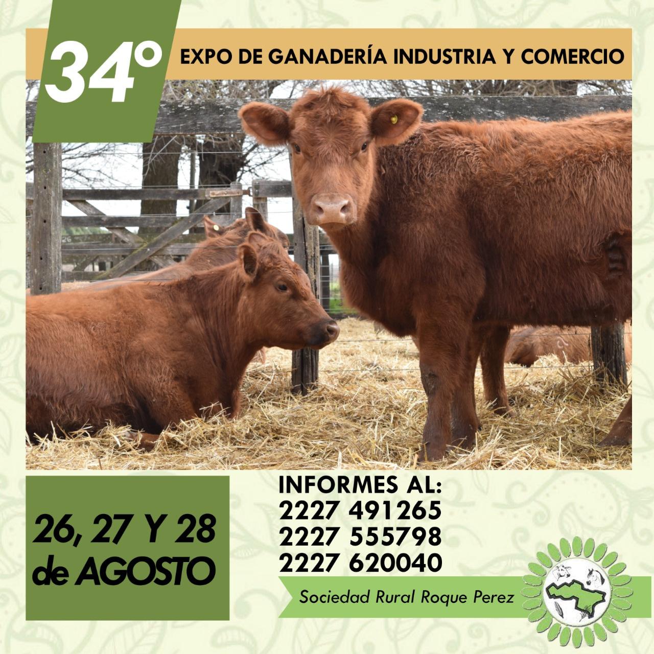 106d26dd-5e49-4055-87de-85f9bacd76a7